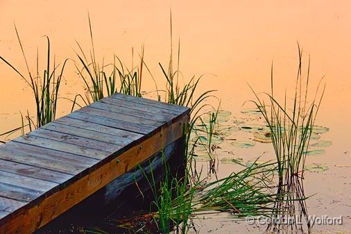 River Grass At Dock's End_05469.jpg - Scugog River photographed near Lindsay, Ontario, Canada.